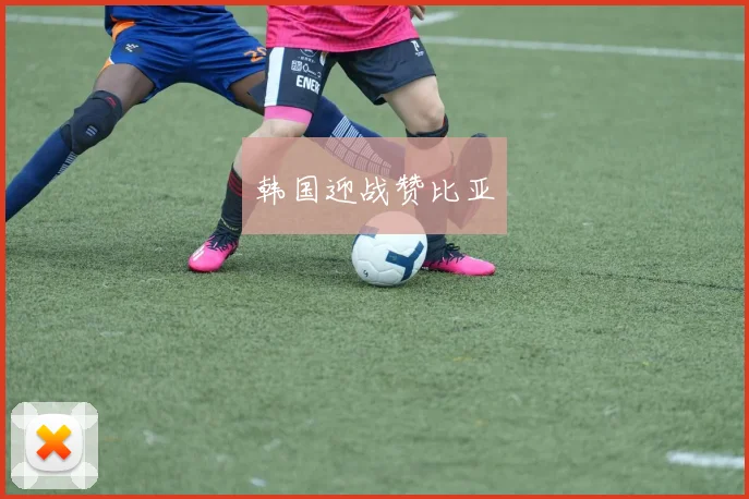 韩国迎战赞比亚