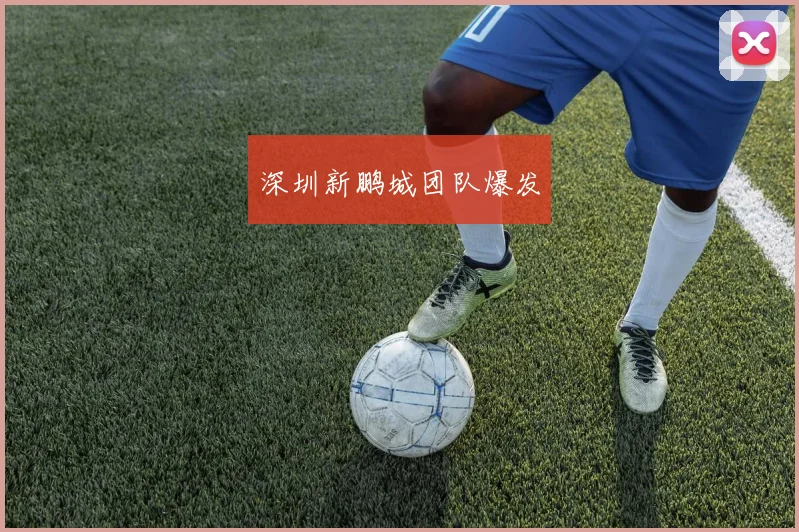 深圳新鹏城团队爆发