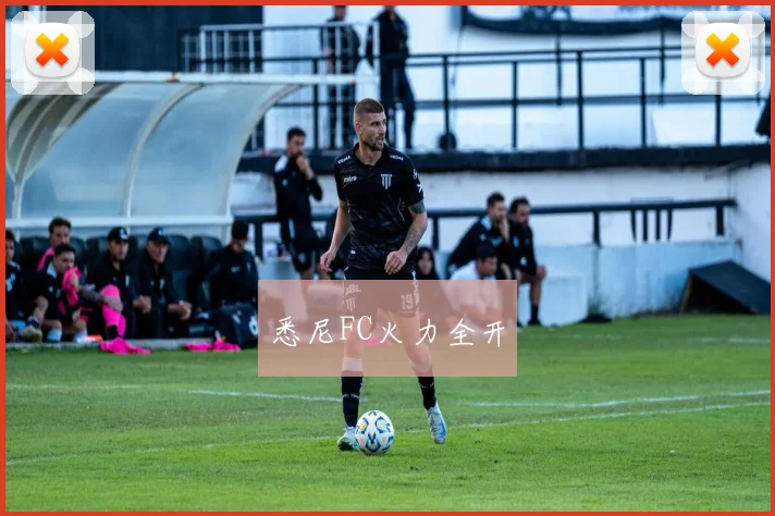 悉尼FC火力全开
