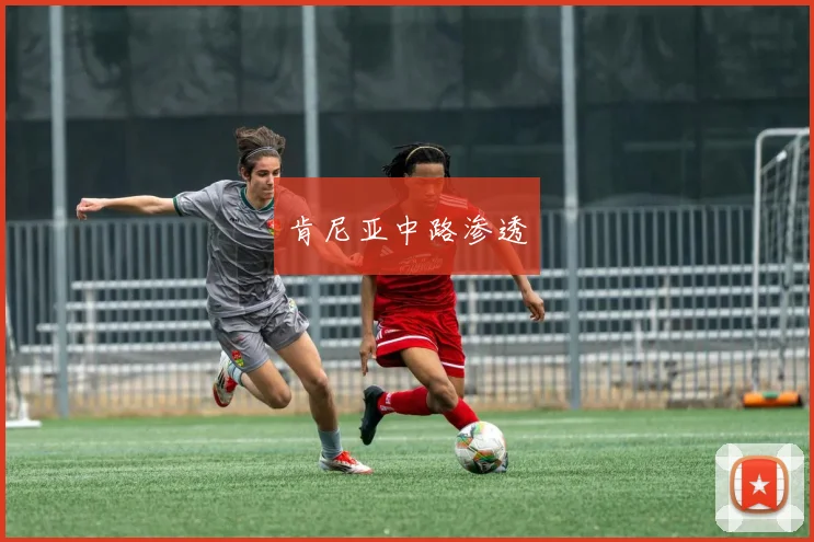 肯尼亚中路渗透