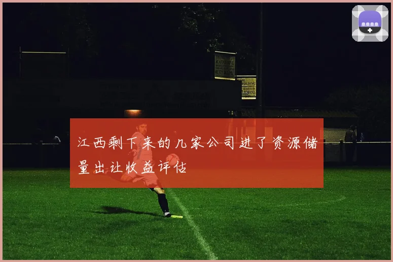 江西剩下来的几家公司进了资源储量出让收益评估