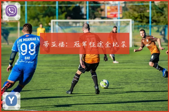 蒂亚福：冠军征途全纪录