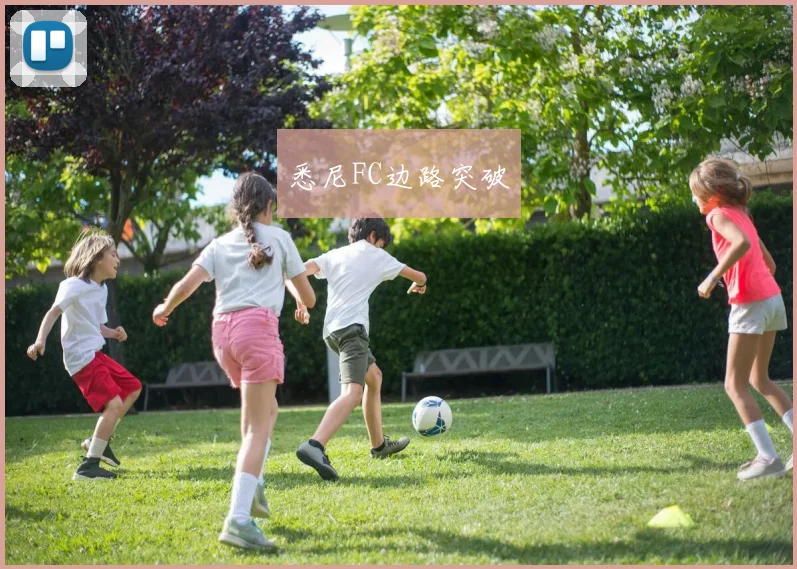 悉尼FC边路突破