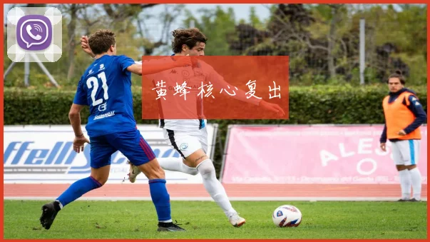 黄蜂核心复出