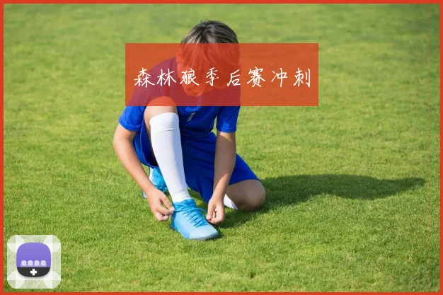 森林狼季后赛冲刺