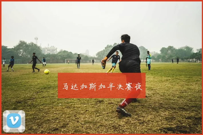 马达加斯加半决赛夜