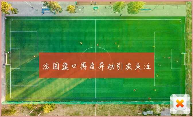法国盘口再度异动引发关注
