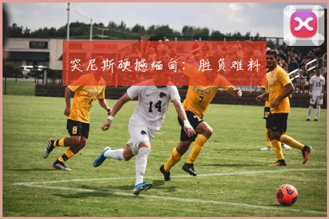 突尼斯硬撼缅甸：胜负难料
