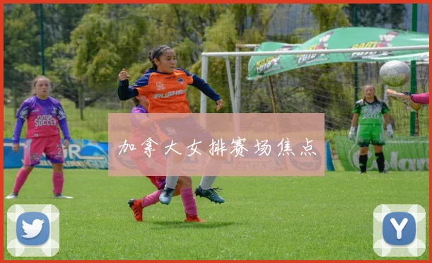 加拿大女排赛场焦点