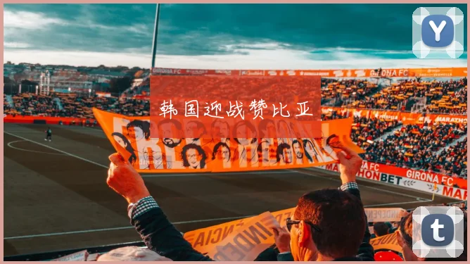 韩国迎战赞比亚
