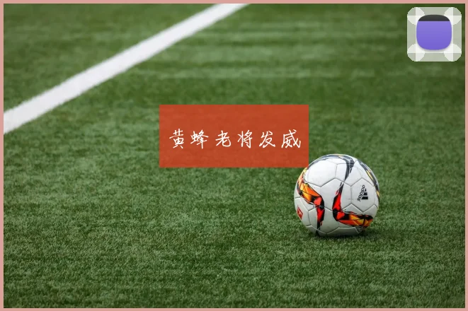 黄蜂老将发威