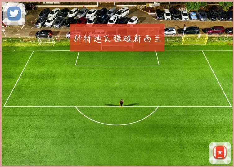 科特迪瓦强碰新西兰