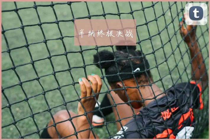 辛纳终极决战