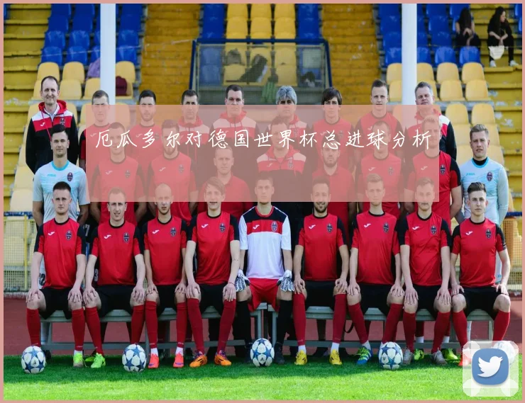 厄瓜多尔对德国世界杯总进球分析