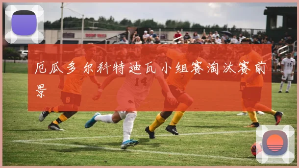 厄瓜多尔科特迪瓦小组赛淘汰赛前景