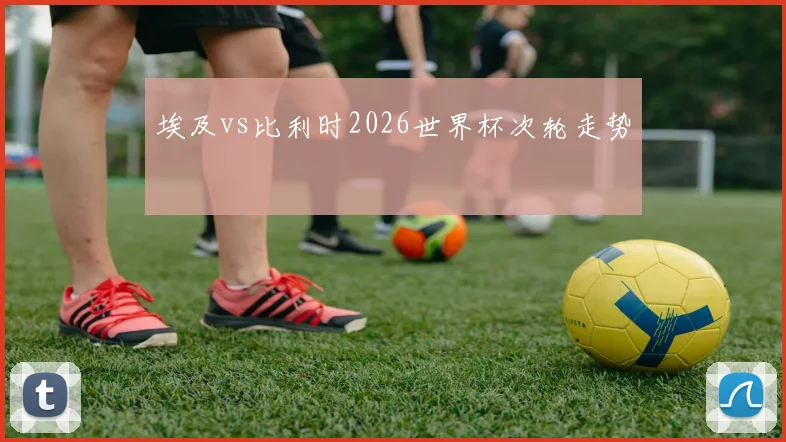 埃及vs比利时2026世界杯次轮走势