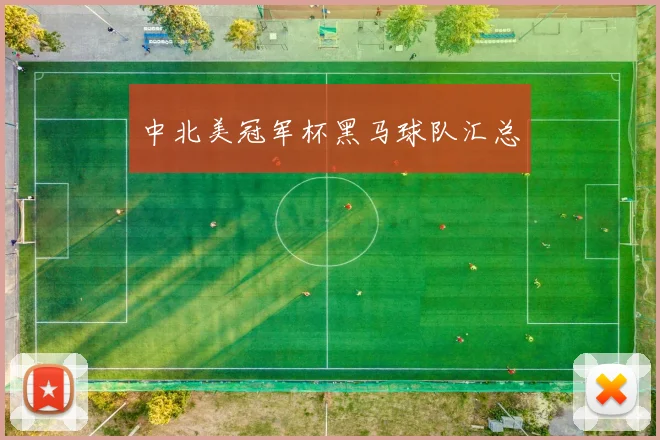 中北美冠军杯黑马球队汇总