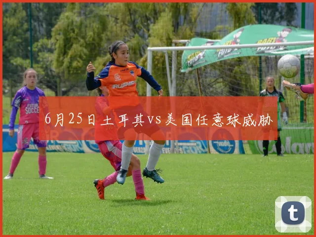 6月25日土耳其vs美国任意球威胁